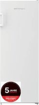 Elektra Bregenz FSN 8952 Gefrierschrank No Frost / 5 Jahre Garantie